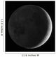 Moon with Earthshine Wall Decal
