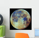 Colored Moon Geological Differences Wall Decal