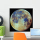 Colored Moon Geological Differences Wall Decal