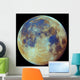 Colored Moon Geological Differences Wall Decal