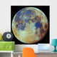Colored Moon Geological Differences Wall Decal