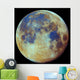 Colored Moon Geological Differences Wall Decal