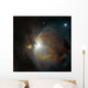 M42 Nebula Orion Wall Decal