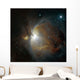 M42 Nebula Orion Wall Decal