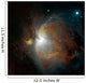 M42 Nebula Orion Wall Decal