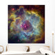 Rosette Nebula Ngc 2244 Wall Decal