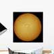 Sun H-alpha Light Wall Decal