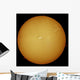 Sun H-alpha Light Wall Decal