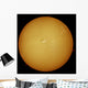 Sun H-alpha Light Wall Decal