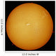 Sun H-alpha Light Wall Decal