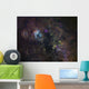 Widefield Image Narrowband Emission Wall Decal
