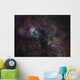 Widefield Image Narrowband Emission Wall Decal