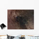 Widefield Star Flux Cygnus Wall Decal