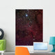 Elephant's Trunk Nebula inside Wall Decal