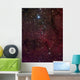 Elephant's Trunk Nebula inside Wall Decal