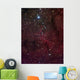 Elephant's Trunk Nebula inside Wall Decal