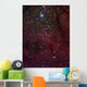 Elephant's Trunk Nebula inside Wall Decal