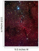 Elephant's Trunk Nebula inside Wall Decal