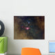 Widefield Nebulae Sagittarius Wall Decal