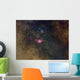 Widefield Nebulae Sagittarius Wall Decal