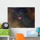 Widefield Nebulae Sagittarius Wall Decal