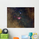 Widefield Nebulae Sagittarius Wall Decal