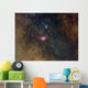 Widefield Nebulae Sagittarius Wall Decal