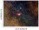 Widefield Nebulae Sagittarius Wall Decal