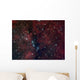 Ngc 6914 Reflection Nebula Wall Decal