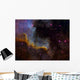 Close-up North America Nebula Wall Decal