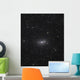 Sunflower Galaxy Wall Decal