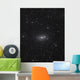Sunflower Galaxy Wall Decal