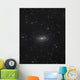Sunflower Galaxy Wall Decal
