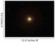 Red Supergiant Betelgeuse Wall Decal
