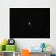 Double Star Albireo Constellation Wall Decal