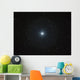 Bright White Star Castor Wall Decal
