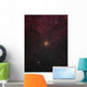 Mu Cephei Red Supergiant Wall Decal