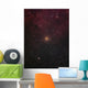 Mu Cephei Red Supergiant Wall Decal