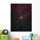 Mu Cephei Red Supergiant Wall Decal