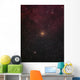 Mu Cephei Red Supergiant Wall Decal