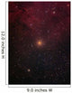 Mu Cephei Red Supergiant Wall Decal