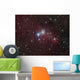 Ngc 2264 Region Showing Wall Decal