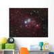 Ngc 2264 Region Showing Wall Decal