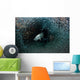 Silversides Evading Their Prey Wall Decal