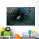 Silversides Evading Their Prey Wall Decal