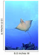 Spotted Eagle Ray Glides Wall Decal
