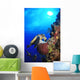 Hawksbill Sea Turtle and Wall Decal Design 2