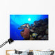 Hawksbill Sea Turtle Eating Wall Decal Design 2