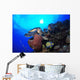 Hawksbill Sea Turtle Eating Wall Decal Design 2