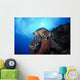 Hawksbill Sea Turtle Eating Wall Decal Design 1